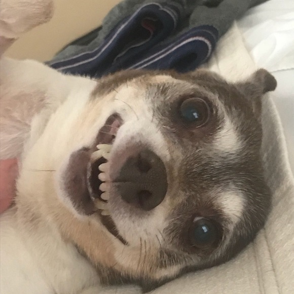 Meet your Posher, Chris - Picture 4 of 16